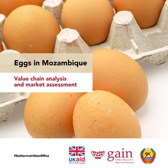 Report - Eggs in Mozambique - Value Chain analysis and market assessment